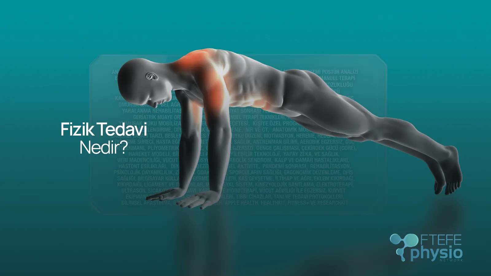 Tüm vücut kas ve eklem tedavi noktalarını gösteren Fizik Tedavi Nedir anatomik görseli