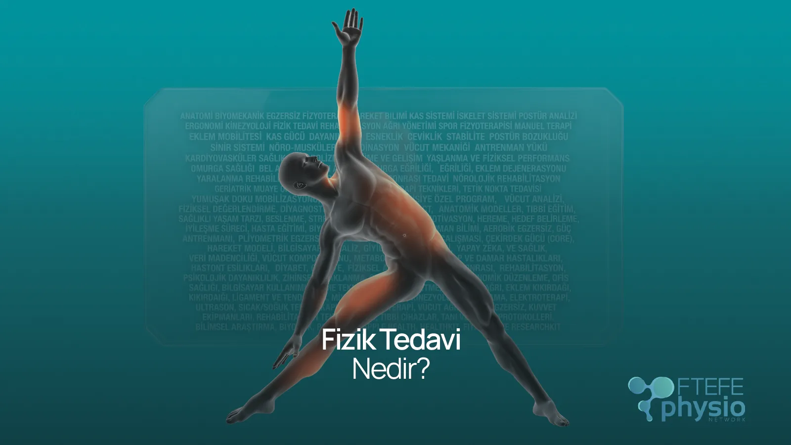 Tüm vücut kas ve eklem tedavi noktalarını gösteren Fizik Tedavi Nedir anatomik görseli
