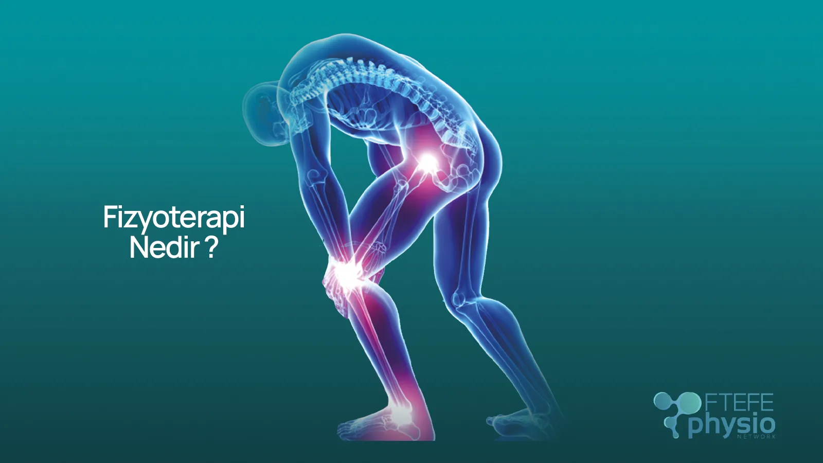 Tüm vücut kas-iskelet ve eklem noktalarını vurgulayan Fizyoterapi Nedir anatomik görseli