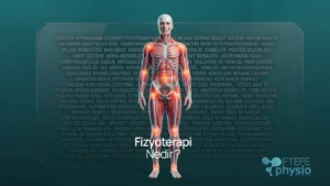 Tüm vücut kas-iskelet ve eklem noktalarını vurgulayan Fizyoterapi Nedir anatomik görseli