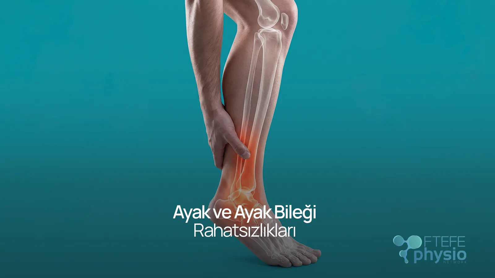Ayak ve Ayak Bileği Rahatsızlıkları anatomik x-ray gösterimi, ağrı noktası işaretlenmiş.
