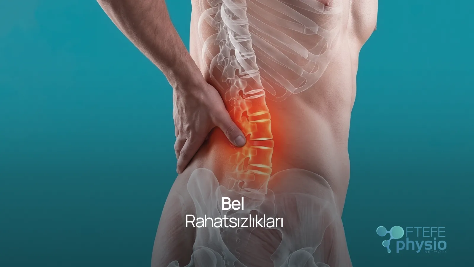 Bel Rahatsızlıkları, , Bel ağrısı ve fıtık sorunlarını gösteren kırmızıyla işaretli lumbar omurga anatomisi