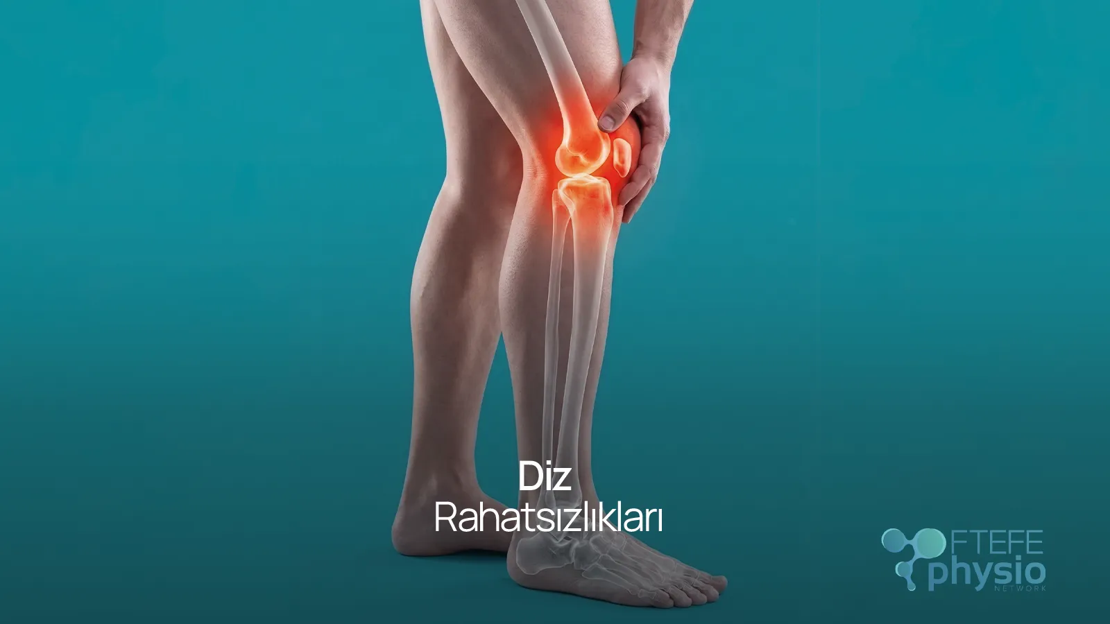 Diz Rahatsızlıkları ve diz anatomisi fizyoterapi illüstrasyonu